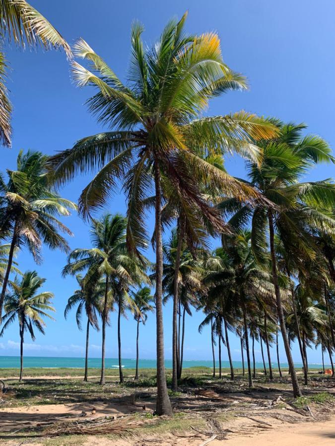 Apartment De Maracaipe - - Flat 309 Porto de Galinhas